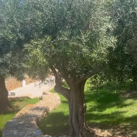 بيت للعطل Granalacantholiday Mit Traumhaften Meerblick Und Grossem Pool غران ألاكانت